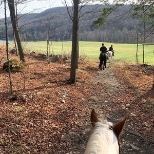 Meet your Posher, Houda